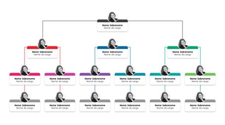Slide 4 depois do redesign